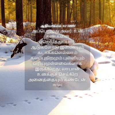 Picture 04 - ஆதியாகமம் 31:12 TAMIRV - அப்பொழுது அவர்: - Bible Verse Picture