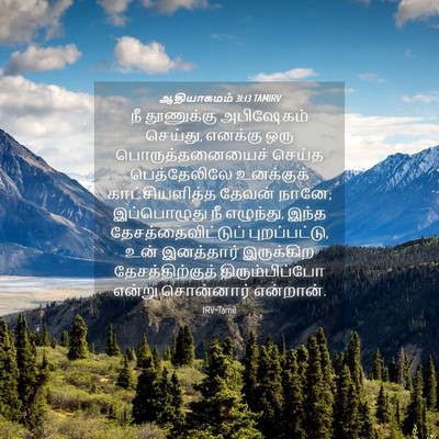 Picture 04 - ஆதியாகமம் 31:13 TAMIRV - நீ தூணுக்கு - Bible Verse Picture