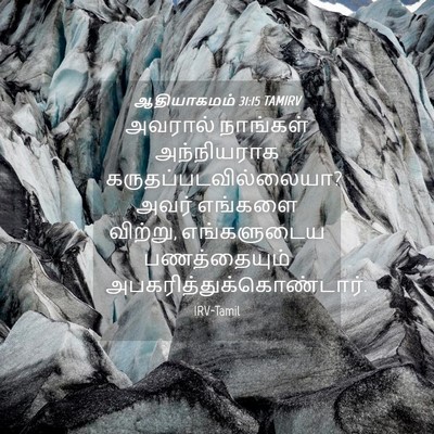 Picture 04 - ஆதியாகமம் 31:15 TAMIRV - அவரால் நாங்கள் - Bible Verse Picture