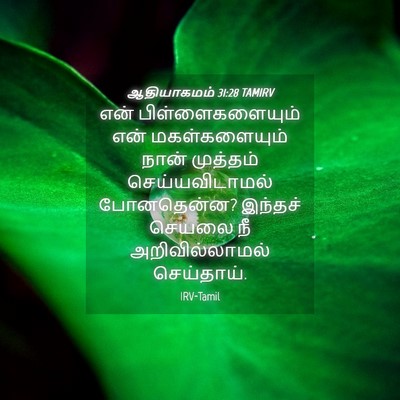 Picture 04 - ஆதியாகமம் 31:28 TAMIRV - என் பிள்ளைகளையும் - Bible Verse Picture