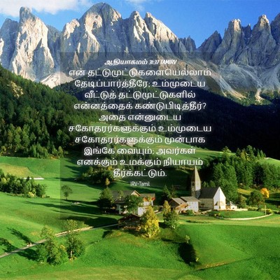 Picture 04 - ஆதியாகமம் 31:37 TAMIRV - என் - Bible Verse Picture