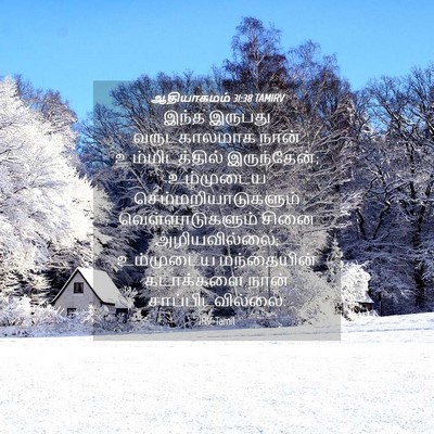 Picture 04 - ஆதியாகமம் 31:38 TAMIRV - இந்த இருபது - Bible Verse Picture