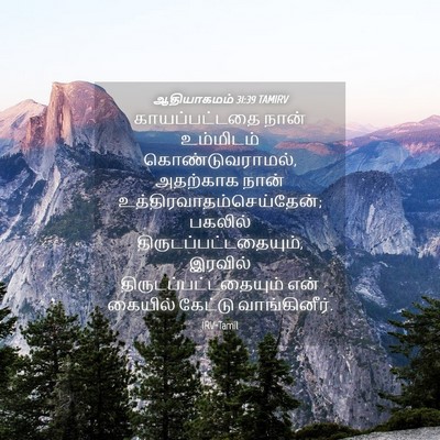 Picture 04 - ஆதியாகமம் 31:39 TAMIRV - காயப்பட்டதை நான் - Bible Verse Picture
