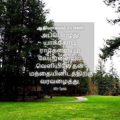 Picture 04 - ஆதியாகமம் 31:4 TAMIRV - அப்பொழுது - Bible Verse Picture
