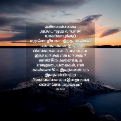 Picture 04 - ஆதியாகமம் 31:43 TAMIRV - அப்பொழுது லாபான் - Bible Verse Picture
