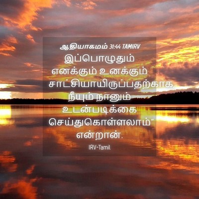 Picture 04 - ஆதியாகமம் 31:44 TAMIRV - இப்பொழுதும் - Bible Verse Picture