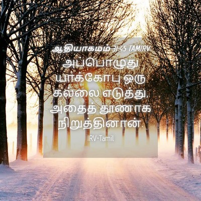 Picture 04 - ஆதியாகமம் 31:45 TAMIRV - அப்பொழுது - Bible Verse Picture