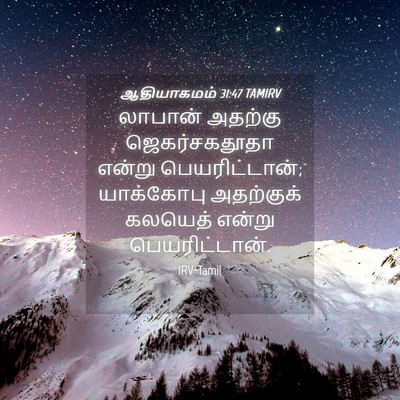 Picture 04 - ஆதியாகமம் 31:47 TAMIRV - லாபான் அதற்கு - Bible Verse Picture