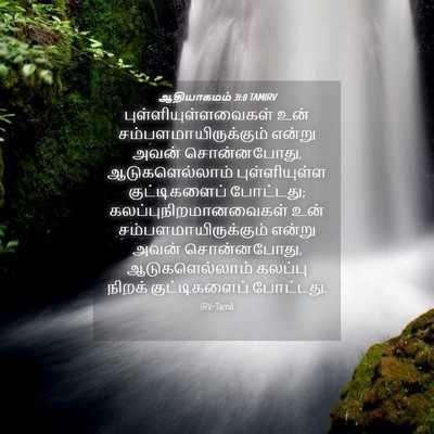 Picture 04 - ஆதியாகமம் 31:8 TAMIRV - புள்ளியுள்ளவைகள் - Bible Verse Picture