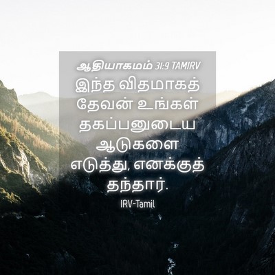 Picture 04 - ஆதியாகமம் 31:9 TAMIRV - இந்த விதமாகத் - Bible Verse Picture