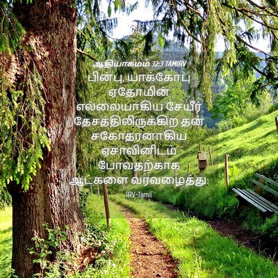 Picture 04 - ஆதியாகமம் 32:3 TAMIRV - பின்பு, யாக்கோபு - Bible Verse Picture
