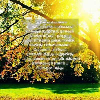 Picture 04 - ஆதியாகமம் 33:1 TAMIRV - யாக்கோபு தன் - Bible Verse Picture