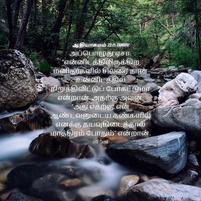 Picture 04 - ஆதியாகமம் 33:15 TAMIRV - அப்பொழுது ஏசா: - Bible Verse Picture