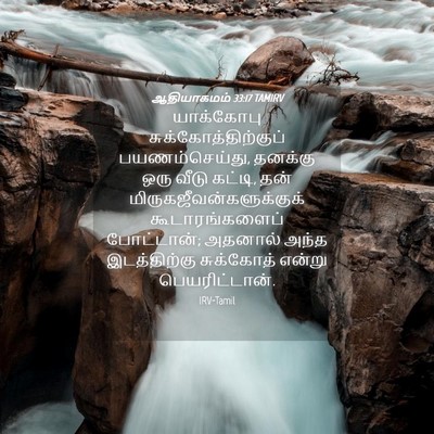 Picture 04 - ஆதியாகமம் 33:17 TAMIRV - யாக்கோபு - Bible Verse Picture
