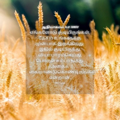 Picture 04 - ஆதியாகமம் 34:10 TAMIRV - எங்களோடு - Bible Verse Picture