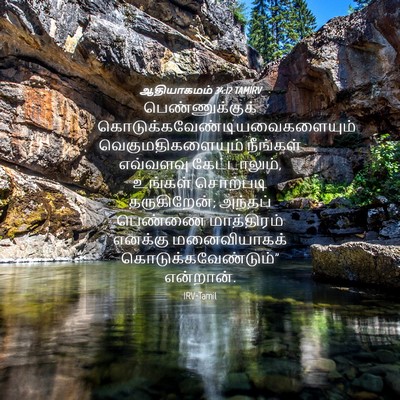 Picture 04 - ஆதியாகமம் 34:12 TAMIRV - பெண்ணுக்குக் - Bible Verse Picture