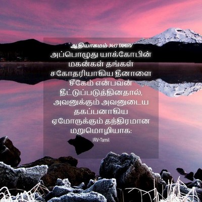 Picture 04 - ஆதியாகமம் 34:13 TAMIRV - அப்பொழுது - Bible Verse Picture