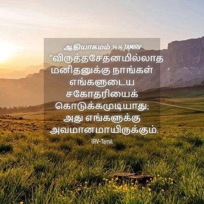 Picture 04 - ஆதியாகமம் 34:14 TAMIRV -  - Bible Verse Picture