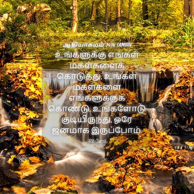 Picture 04 - ஆதியாகமம் 34:16 TAMIRV - உங்களுக்கு எங்கள் - Bible Verse Picture