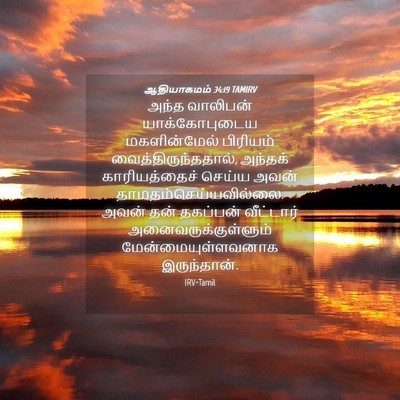 Picture 04 - ஆதியாகமம் 34:19 TAMIRV - அந்த வாலிபன் - Bible Verse Picture