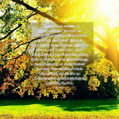 Picture 04 - ஆதியாகமம் 34:21 TAMIRV - “இந்த மனிதர் - Bible Verse Picture