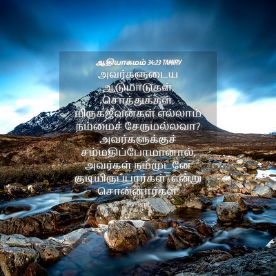 Picture 04 - ஆதியாகமம் 34:23 TAMIRV - அவர்களுடைய - Bible Verse Picture