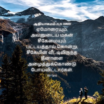Picture 04 - ஆதியாகமம் 34:26 TAMIRV - ஏமோரையும், - Bible Verse Picture