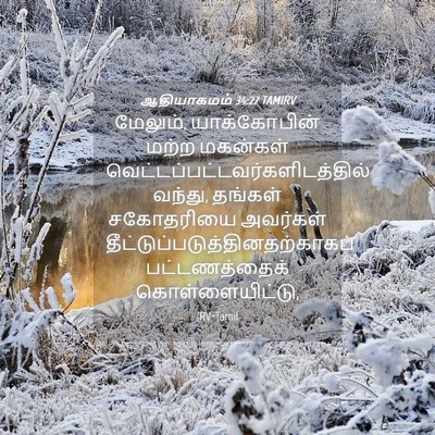 Picture 04 - ஆதியாகமம் 34:27 TAMIRV - மேலும், - Bible Verse Picture