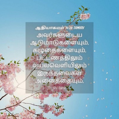 Picture 04 - ஆதியாகமம் 34:28 TAMIRV - அவர்களுடைய - Bible Verse Picture
