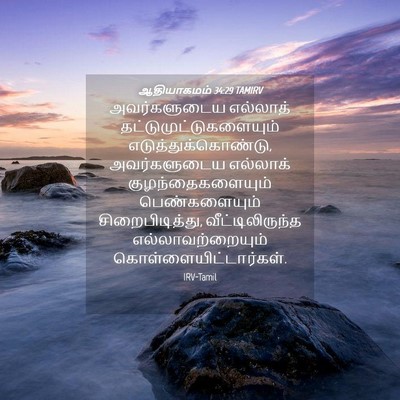 Picture 04 - ஆதியாகமம் 34:29 TAMIRV - அவர்களுடைய - Bible Verse Picture