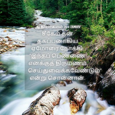 Picture 04 - ஆதியாகமம் 34:4 TAMIRV - சீகேம் தன் - Bible Verse Picture