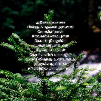Picture 04 - ஆதியாகமம் 35:11 TAMIRV - பின்னும் தேவன் - Bible Verse Picture