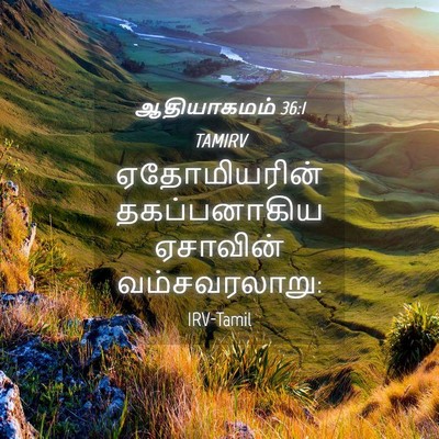Picture 04 - ஆதியாகமம் 36:1 TAMIRV - ஏதோமியரின் - Bible Verse Picture
