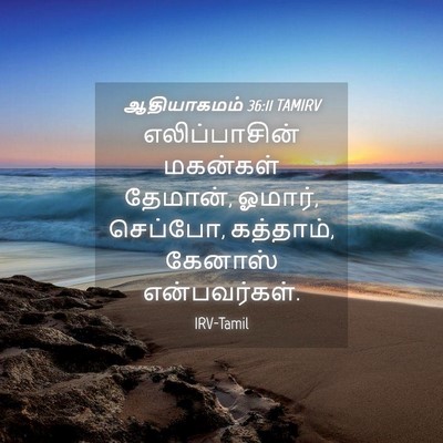 Picture 04 - ஆதியாகமம் 36:11 TAMIRV - எலிப்பாசின் - Bible Verse Picture