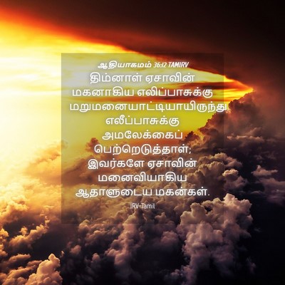 Picture 04 - ஆதியாகமம் 36:12 TAMIRV - திம்னாள் ஏசாவின் - Bible Verse Picture