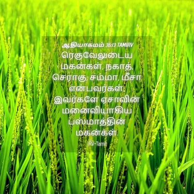 Picture 04 - ஆதியாகமம் 36:13 TAMIRV - ரெகுவேலுடைய - Bible Verse Picture