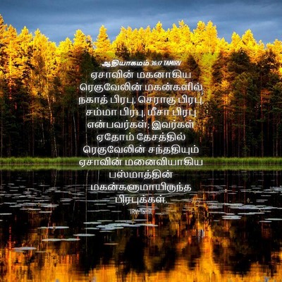 Picture 04 - ஆதியாகமம் 36:17 TAMIRV - ஏசாவின் மகனாகிய - Bible Verse Picture