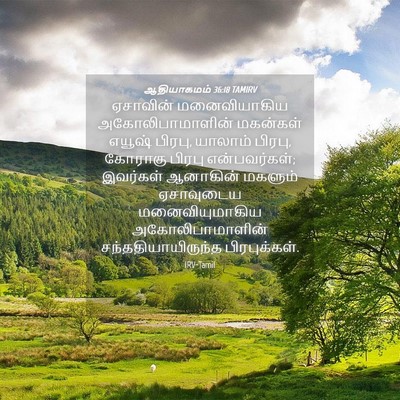 Picture 04 - ஆதியாகமம் 36:18 TAMIRV - ஏசாவின் - Bible Verse Picture