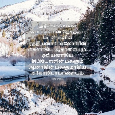 Picture 04 - ஆதியாகமம் 36:2 TAMIRV - ஏசா கானான் - Bible Verse Picture