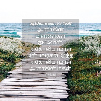 Picture 04 - ஆதியாகமம் 36:25 TAMIRV - ஆனாகின் பிள்ளைகள் - Bible Verse Picture