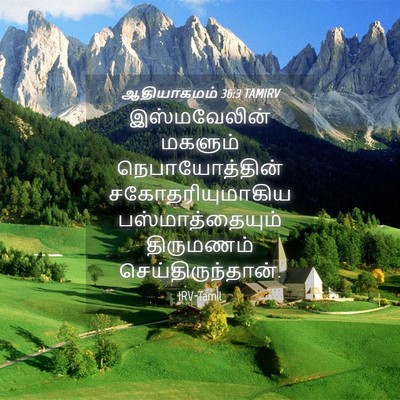 Picture 04 - ஆதியாகமம் 36:3 TAMIRV - இஸ்மவேலின் மகளும் - Bible Verse Picture