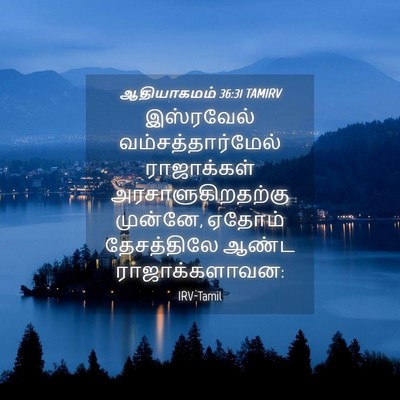 Picture 04 - ஆதியாகமம் 36:31 TAMIRV - இஸ்ரவேல் - Bible Verse Picture