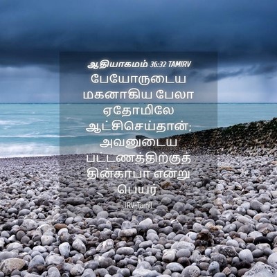 Picture 04 - ஆதியாகமம் 36:32 TAMIRV - பேயோருடைய மகனாகிய - Bible Verse Picture