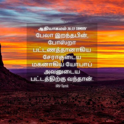 Picture 04 - ஆதியாகமம் 36:33 TAMIRV - பேலா இறந்தபின், - Bible Verse Picture