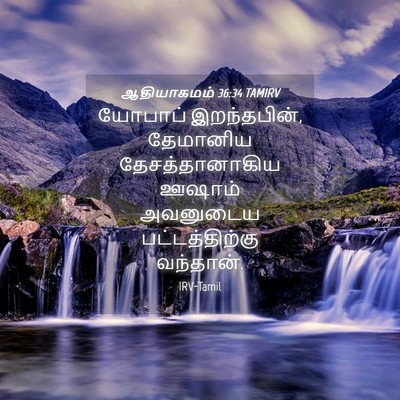 Picture 04 - ஆதியாகமம் 36:34 TAMIRV - யோபாப் இறந்தபின், - Bible Verse Picture
