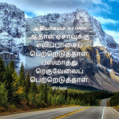Picture 04 - ஆதியாகமம் 36:4 TAMIRV - ஆதாள் ஏசாவுக்கு - Bible Verse Picture