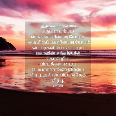Picture 04 - ஆதியாகமம் 36:40 TAMIRV - தங்கள் பற்பல - Bible Verse Picture