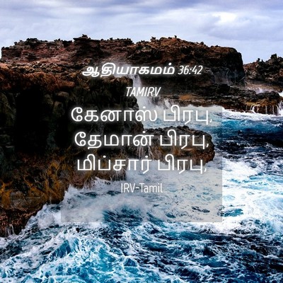 Picture 04 - ஆதியாகமம் 36:42 TAMIRV - கேனாஸ் பிரபு, - Bible Verse Picture