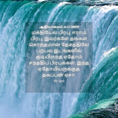 Picture 04 - ஆதியாகமம் 36:43 TAMIRV - மக்தியேல் பிரபு, - Bible Verse Picture