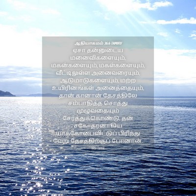 Picture 04 - ஆதியாகமம் 36:6 TAMIRV - ஏசா தன்னுடைய - Bible Verse Picture